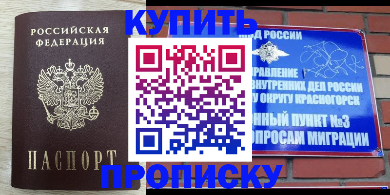 прописка гарантия в Высоковске